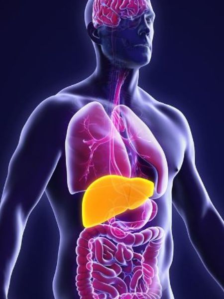 Fatty liver can become the cause of many serious diseases, do not ignore these symptoms dgtl