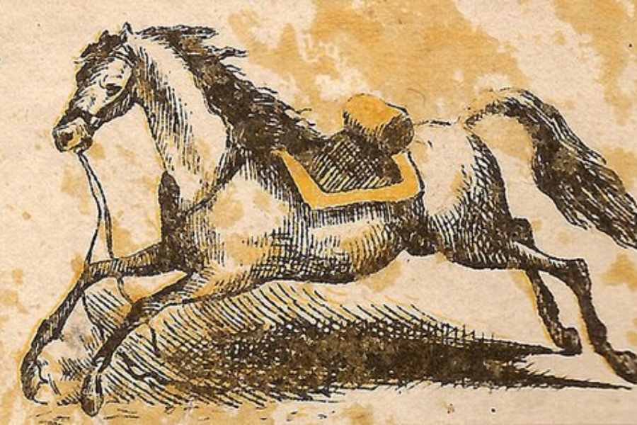 ধাঁধার প্রশ্ন।