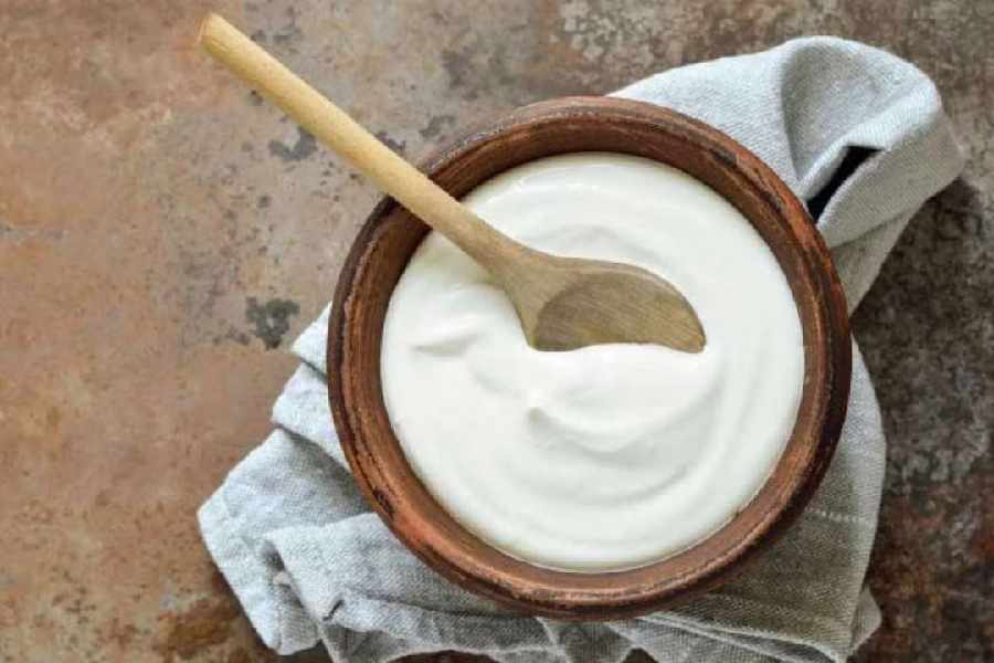 Should we eat curd in winter.