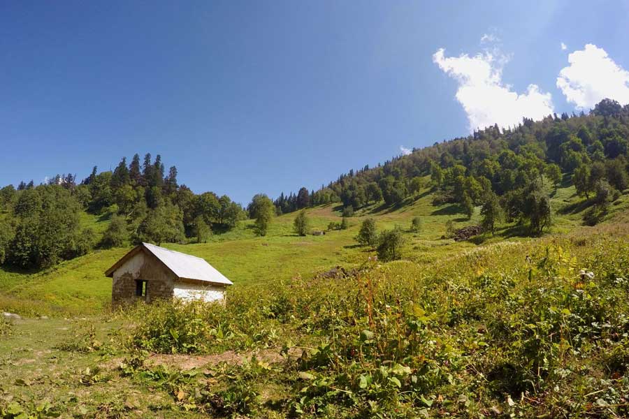 রাস্কিন বন্ড রচিত উপন্যাসে মাঝেমধ্যেই উত্তরাখণ্ডের প্রাকৃতিক দৃশ্য ফুটে ওঠে। কোনও কোনও সময় পরি টিব্বা বলে একটি পাহাড়ি এলাকার উল্লেখও থাকে তাঁর কলমে। কিন্তু এই জায়গার সঙ্গে জড়িয়ে রয়েছে এক ভয়ঙ্কর কাহিনি। সন্ধ্যার পর নাকি এলাকাটি এড়িয়ে চলেন স্থানীয়েরাও।