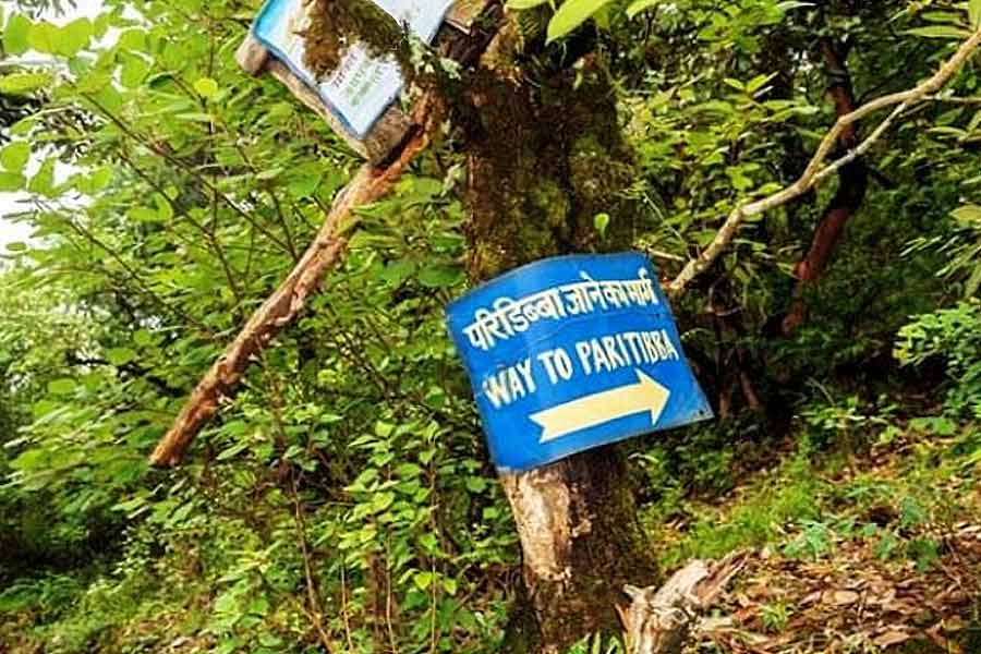 উত্তরাখণ্ডের দেহরাদূন থেকে প্রায় দু’ঘণ্টা পথ অতিক্রম করে পৌঁছতে হয় পরি টিব্বায়। এখানকার সৌন্দর্য এতই অপরূপ যে, পাহাড়ি পথ ধরে হেঁটে যেতে দুর্দান্ত লাগে। দিনের আলোয় এখানে যেতে কোনও রকম বাধা না থাকলেও সন্ধ্যা নামতেই পরি টিব্বা ছেড়ে চলে যেতে বলা হয় পর্যটকদের।
