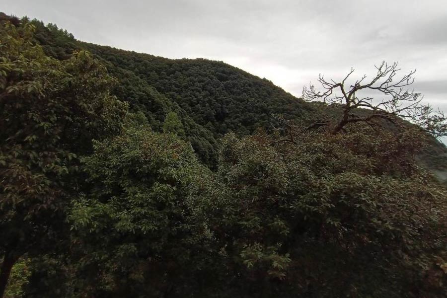 স্থানীয়দের বিশ্বাস, সন্ধ্যা নামতেই এক যুগলের ‘আত্মা’ পরি টিব্বা এলাকায় ঘুরে বেড়ায়। সেই ভয়েই নাকি ওই এলাকা এড়িয়ে চলেন স্থানীয়েরা।