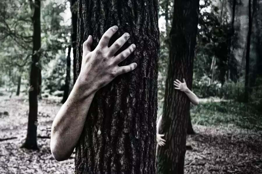 যে পর্যটকেরা নির্জন স্থানে ঘুরতে যেতে পছন্দ করেন তাঁদের জন্য পরি টিব্বা আদর্শ পর্যটনস্থল হলেও সন্ধ্যার পর পাহাড়ি জঙ্গল ছেড়ে বেরিয়ে যাওয়াই নিরাপদ মনে করেন তাঁরা।