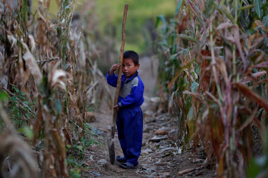 North Korea leader Kim Jong Un Kim