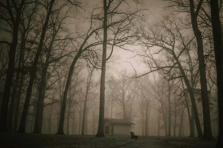 কানাডার লাব্রাডর এবং নিউফাউন্ডল্যান্ডের কাছে কোন্নে নদীর কাছে গ়ড়ে উঠেছে মিয়াওপুকেক ফার্স্ট নেশন রিজ়ার্ভ। এখানকার ঘন জঙ্গলের মধ্যেই খোঁজ মিলেছে ভয়ঙ্কর নারীরূপী গাছের।