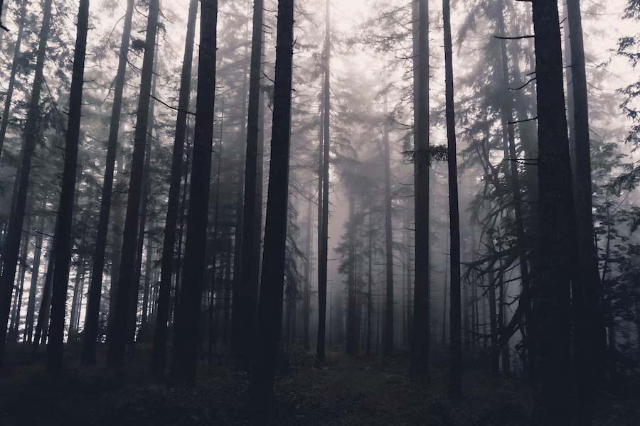 মিয়াওপুকেক রিজ়ার্ভে ঘন জঙ্গলের ভিতর এমন একটি গাছ রয়েছে যার বাকল, গুঁড়ি বেরিয়ে এমন আকার ধারণ করেছে এক নজরে যা দেখলে মনে হয় গাছটি কোনও নারীকে নিজের ভিতরে টেনে রাখার চেষ্টা করছে।