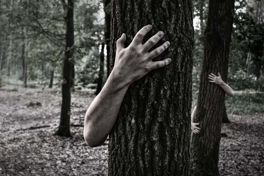 তবে নারীদেহটি মু্ণ্ডহীন। গাছটি সোজা দাঁড়িয়ে থাকলেও নারীর দেহটি বেঁকে গিয়ে বাঁদিকে হেলে রয়েছে। যেন গাছ থেকে নিজেকে আলাদা করার চেষ্টায় ছিলেন ওই নারী। মাথা আলাদা করতে পারলেও দেহের সর্বাংশ আটকে পড়েছে গাছের ভিতর।