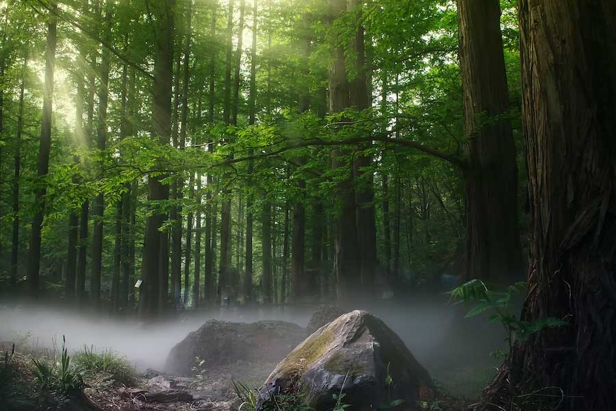 ‘দ্য ওয়াকিং ডেড’ নামের এক জনপ্রিয় জ়ম্বি ধারাবাহিকের একটি চরিত্র আলফা। সেই চরিত্রের সঙ্গে মুখের মিল খুঁজে পান নেটব্যবহারকারীরা। বিষয়টি নজরে পড়ে মিয়াওপুকেকের পর্যটন এবং সংস্কৃতি বিভাগের ডিরেক্টর কোলিন লাম্বার্টের।