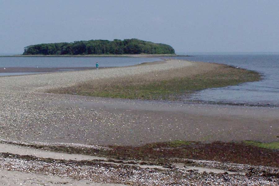 পরিযায়ী পাখিদের আস্তানা হলেও বছরের একটি নির্দিষ্ট সময়ে চার্লস দ্বীপে যাওয়া বারণ থাকে পর্যটকদের।