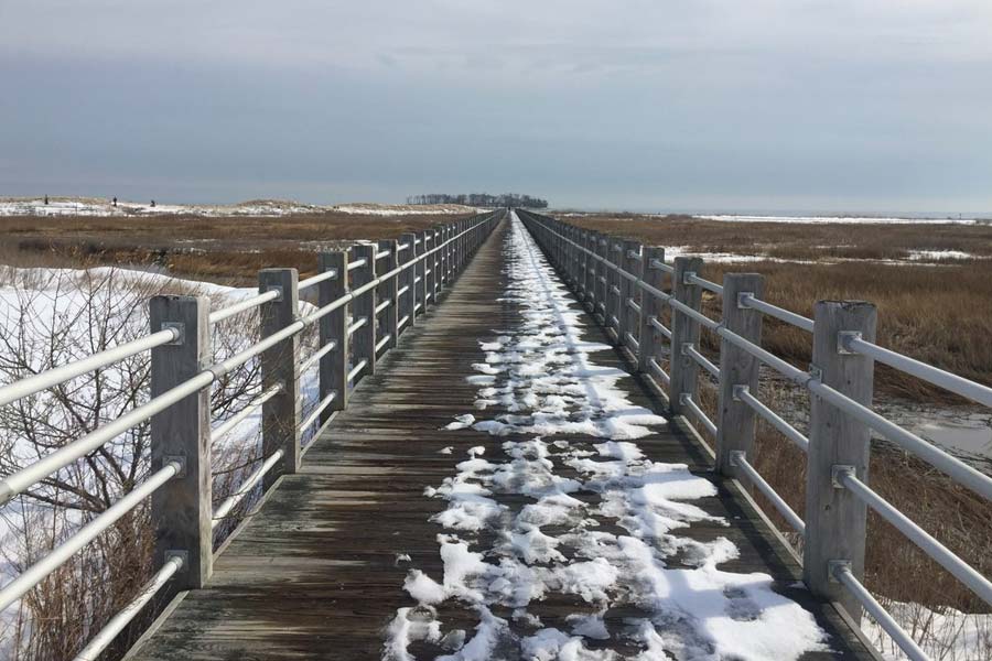 একটি বা দু’টি নয়, তিনটি অভিশাপ ঝুলছে চার্লস দ্বীপে। ষোড়শ শতকে অ্যাজ়টেক সাম্রাজ্যের সম্রাট মোন্টেজ়ুমাকে হারিয়ে তাঁর সমস্ত ধনসম্পত্তি লুট করে সমুদ্রপথে ফিরছিলেন মেক্সিকোর সম্রাট গুয়াতমোজ়িন।