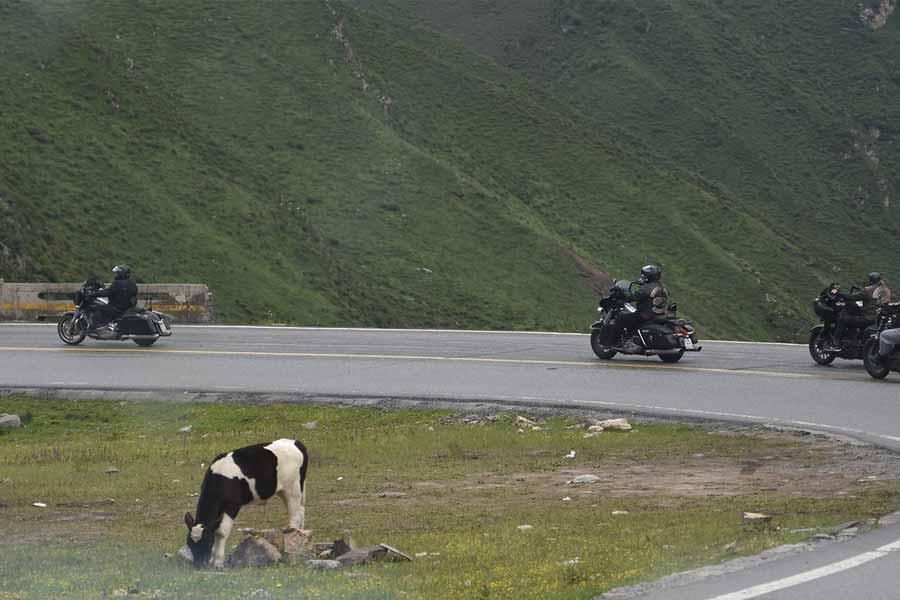 সিচুয়ান-তিব্বত সড়ক তৈরিতে শ্রমিকদের সহায়তা করেছিলেন সেনাও। তিন হাজারেরও বেশি মানুষ এই রাস্তা নির্মাণের কাজে প্রাণ হারিয়েছিলেন।