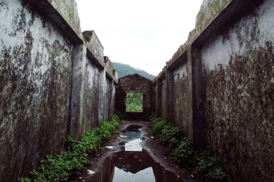 শ্রমিকদের মৃত্যুর পর মুসৌরির লাম্বি দেহার খনি বন্ধ করে দেওয়া হয়। তার পর থেকেই নাকি সন্ধ্যার পর ওই এলাকা দিয়ে যাতায়াতের সময় কান্নার শব্দ শুনতে পেতেন স্থানীয়েরা।