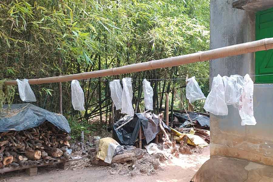 হাতির হানা রুখতে তার দিয়ে পলিথিন বাঁধা হয়েছে।