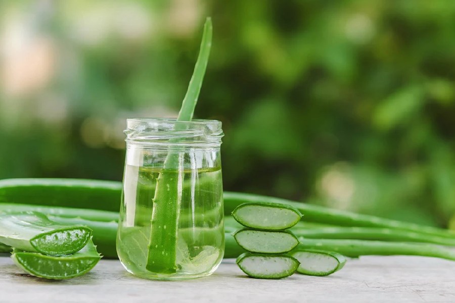 Easy tips to maintain summer skin problems with aloe vera