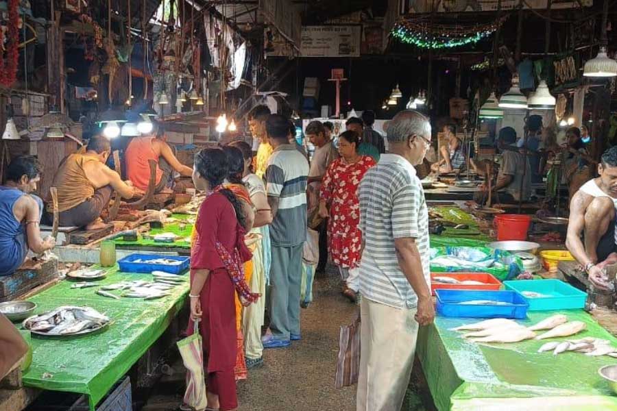 Artist Hiran Mitra plans to exhibit his drawings in a fish market of Howrah