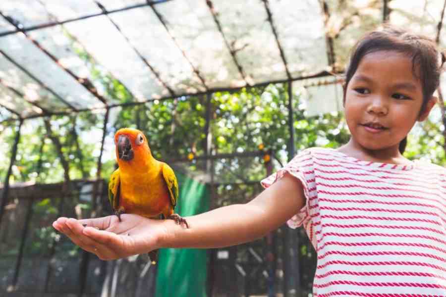 পোষ্যের কী কী সমস্যা হচ্ছে বোঝা দরকার।