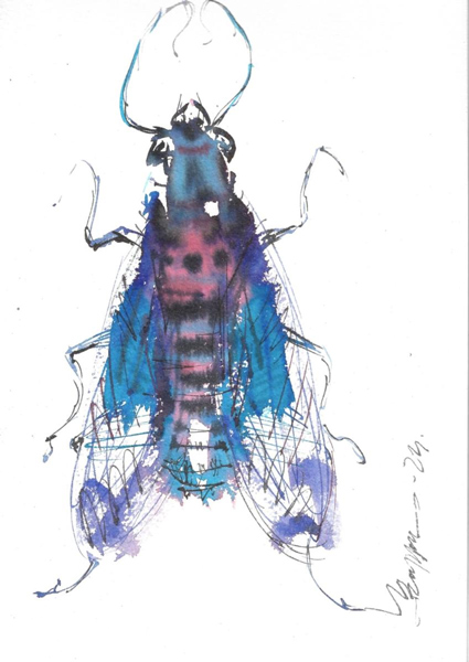 ক্ষুদ্রাতিক্ষুদ্র: বাপ্পা ভৌমিকের প্রদর্শনী ‘পোকা’র চিত্রকর্ম।