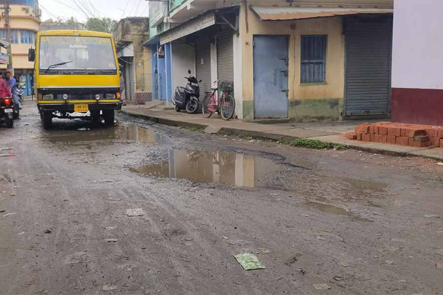 এই রাস্তা দিয়েই রথ যাবে। তেহট্টে।