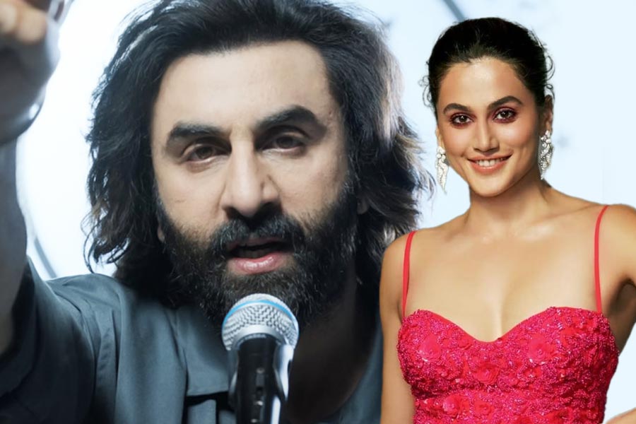 Tapsee Pannu said she would have worked in Animal after reading the script