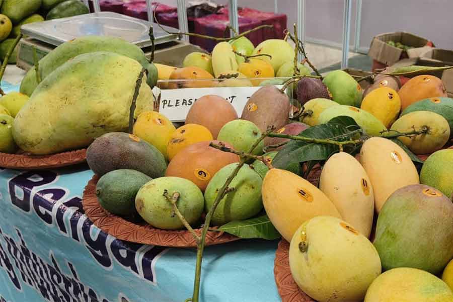 আমদরবার: দিল্লির জনপথে আয়োজিত ‘বাংলার আমমেলা’র এক ঝলক।