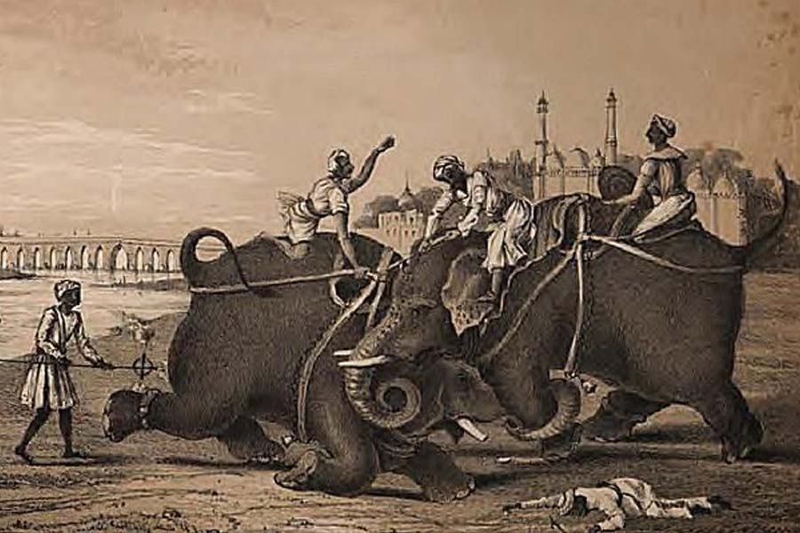 ভারতে ব্রিটিশদের ভিত ক্রমশ মজবুত হচ্ছে, উপলব্ধি করেছিলেন পল। এতে যে আদতে রাশিয়ার ক্ষতি, তা-ও তিনি অনুমান করেছিলেন। ফলে ব্রিটিশ ভারতে আক্রমণ চালিয়ে ভারত থেকে তাদের সরিয়ে দিতে উদ্যোগী হয়েছিলেন তিনি।