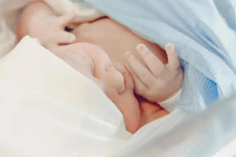 Incestuous cult groomed to practice polygamy, everyone was forced to have children