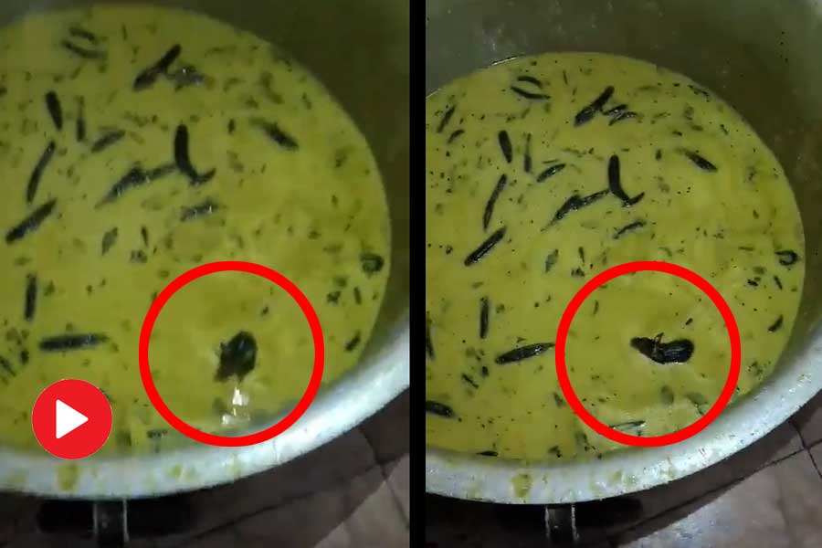 চাটনির মধ্যে সাঁতার কেটে বেড়াচ্ছে ইঁদুর।