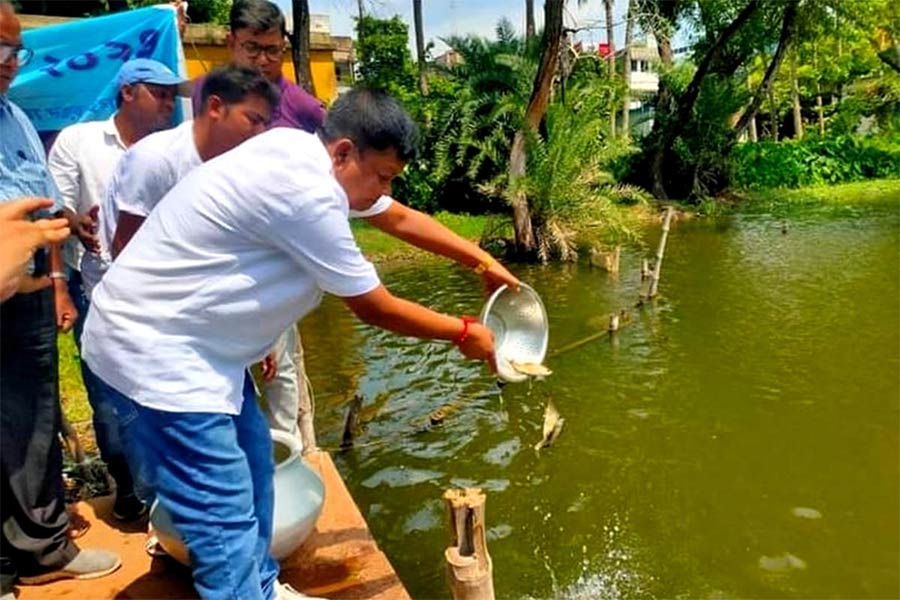 মৎস্যজীবি দিবস উপলক্ষে চুঁচুড়ার মিন ভবনে চারা মাছ ছাড়ছেন হুগলি জেলাপরিষদের সভাধিপতি রঞ্জন ধাড়া। বুধবার।