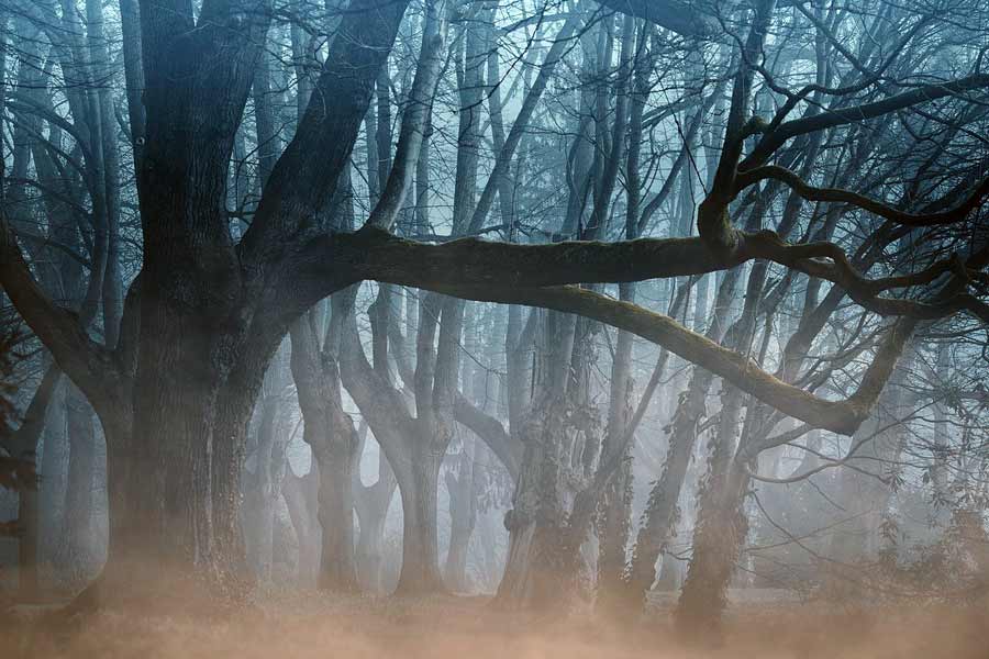 The mysterious life of Indian playwright and novelist Swadesh Deepak