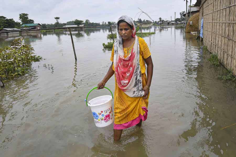 বন্যা পরিস্থিতি শোচনীয় অসমে।