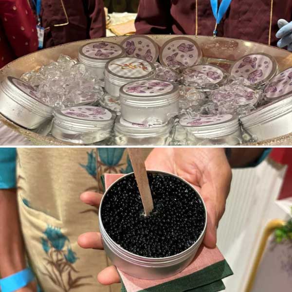 স্থানীয় সংবাদ সংস্থা সূত্রে খবর, অম্বানী-পুত্রের বিয়েতে অতিথিদের শেষ পাতে দেওয়া হয়েছিল তিরামিসু নামে একটি বিশেষ ডেসার্ট। তিরামিসু সাজানো ছিল কালো, গোলাকৃতি দানার মতো জিনিস দিয়ে।