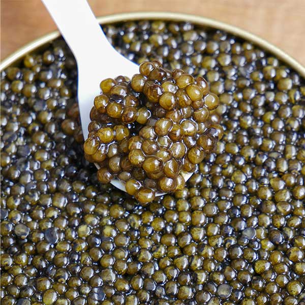 বহু শতাব্দী ধরে প্রাচীন পারস্যে (বর্তমান ইরান) ক্যাভিয়ার খাওয়ার প্রচলন ছিল। ধীরে ধীরে পশ্চিমি দেশগুলিতে ক্যাভিয়ার খাওয়ার চল শুরু হয়।