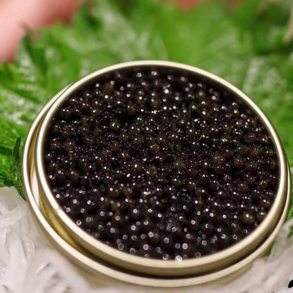 বর্তমানে ক্যাভিয়ার তেমন পর্যাপ্ত পরিমাণে পাওয়া না যাওয়ায় তা বিরল হয়ে গিয়েছে। হাতেগোনা বিলাসবহুল রেস্তরাঁয় ক্যাভিয়ার পরিবেশন করা হয়।