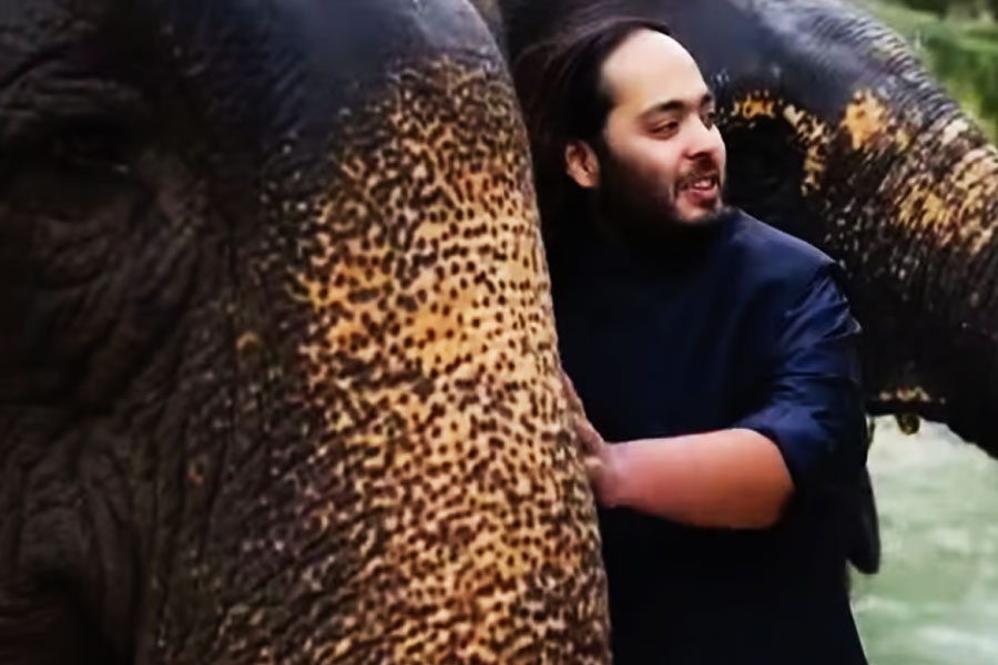 তবে সেই সব ব্রোচেরএকটি বিশেষত্ব রয়েছে। সব ক’টি ব্রোচেই রয়েছে কোনও না কোনও প্রাণীর মোটিফ। অনন্ত পশুপ্রেমী। পশু সংরক্ষণ ও তাদের কল্যাণের কথা মাথায় রেখে ‘বনতারা’ উদ্যোগ চালু করেছেন অনন্ত। পশুদের প্রতি তাঁর এই ভালবাসার কথা মাথায় রেখেই তৈরি করা হয় ব্রোচগুলি।