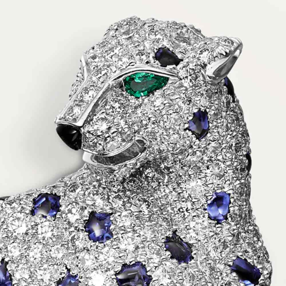 এই ব্রোচটির বিশেষত্ব হল, এটিকে যেমন খুশি ব্যবহার করা যায়। প্যান্থারের ঘাড় এবং অঙ্গ-প্রত্যঙ্গ বিশেষ কায়দায় ঘুরিয়ে নিলেই ব্রোচটিকে হারের সঙ্গে লকেট, কানের দুল কিংবা আংটি হিসাবেও ব্যবহার করা যায়। ভারতীয় মুদ্রায় ব্রোচটির দাম প্রায় ১৩ কোটি টাকা।