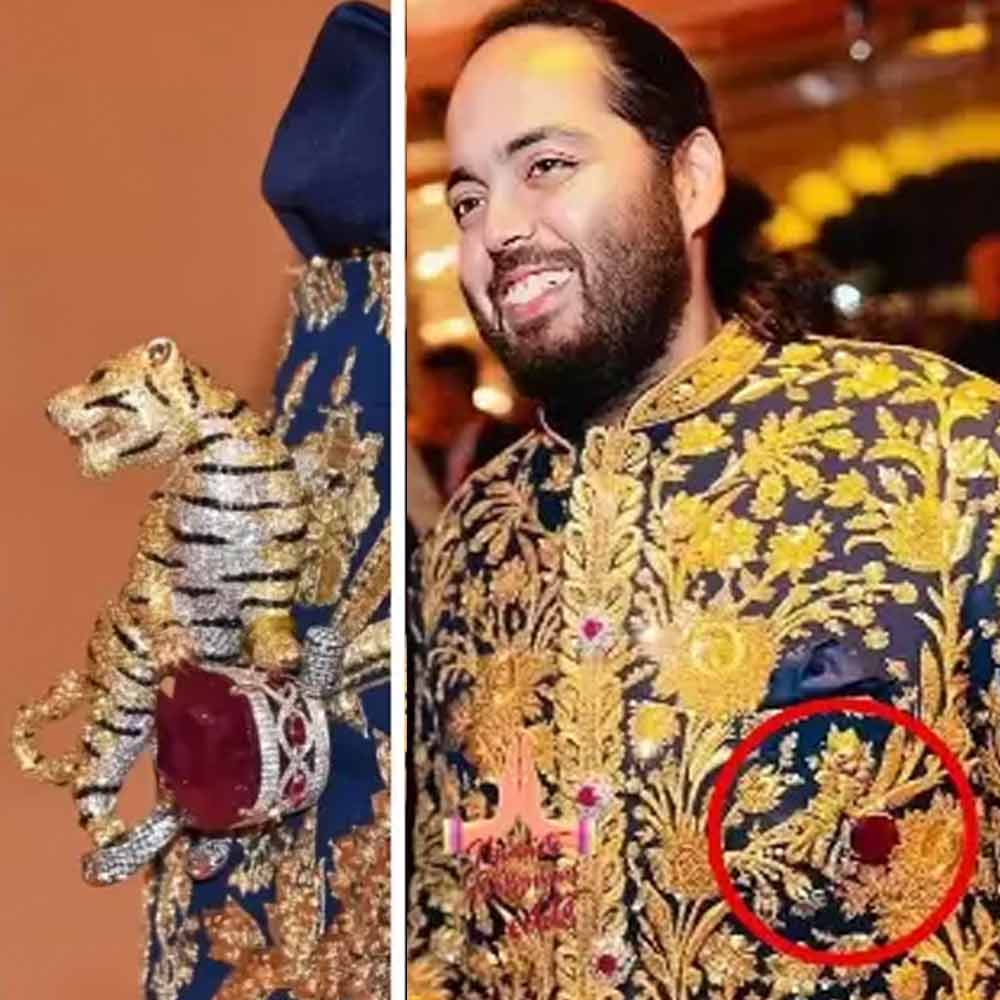 রয়্যাল বেঙ্গল টাইগার ব্রোচ: অনন্ত-রাধিকার সঙ্গীতের অনুষ্ঠানও ছিল চোখধাঁধানো। নীল রঙের গলাবন্ধ পোশাকের উপর আসল সোনা দিয়ে তৈরি জরির ঠাসবুনোট কাজের জ্যাকেট পরেছিলেন তিনি। বুকের বাঁ পাশে দেখা গিয়েছিল এই রয়্যাল বেঙ্গল টাইগার ব্রোচটি। 