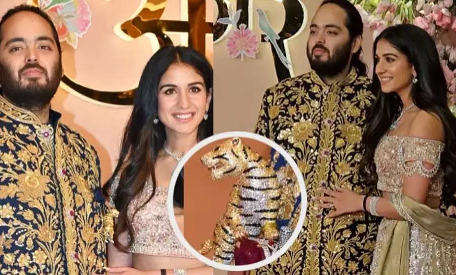 আকারে অনেকটা পায়রার ডিমের মতো, চুনির উপর সোনা এবং প্ল্যাটিনাম দিয়ে তৈরি বাংলার বাঘ বসানো হয়েছে ব্রোচটির উপর। তার চারদিকে রয়েছে ছোট-বড় অসংখ্য হিরে। দাম কয়েক কোটি তো বটেই।