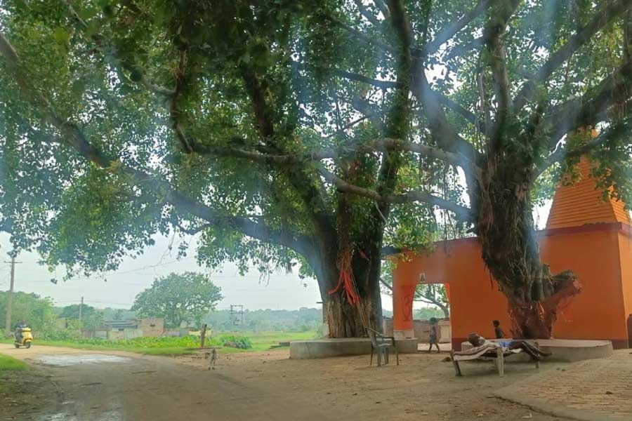 জমতাড়ার প্রত্যন্ত গ্রামের ওটিপি মাফিয়াদের একটি ডেরা। দু'সপ্তাহ আগেই এখানে হানা দেয় পুলিশ।