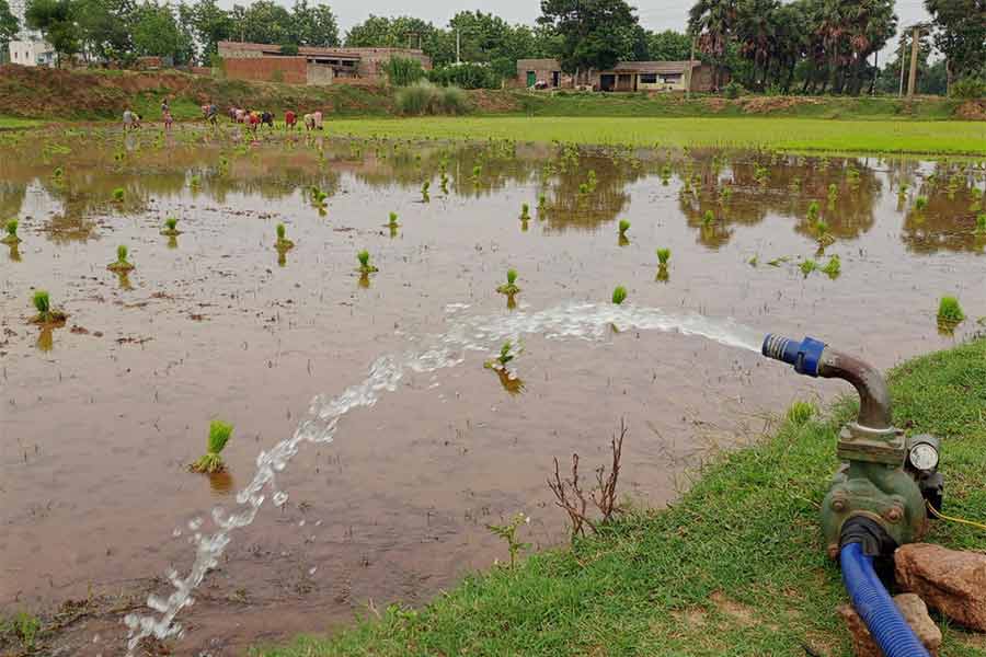 পুকুরের জলই ভরসা। পুরুলিয়ার চাকলতোড়ে।