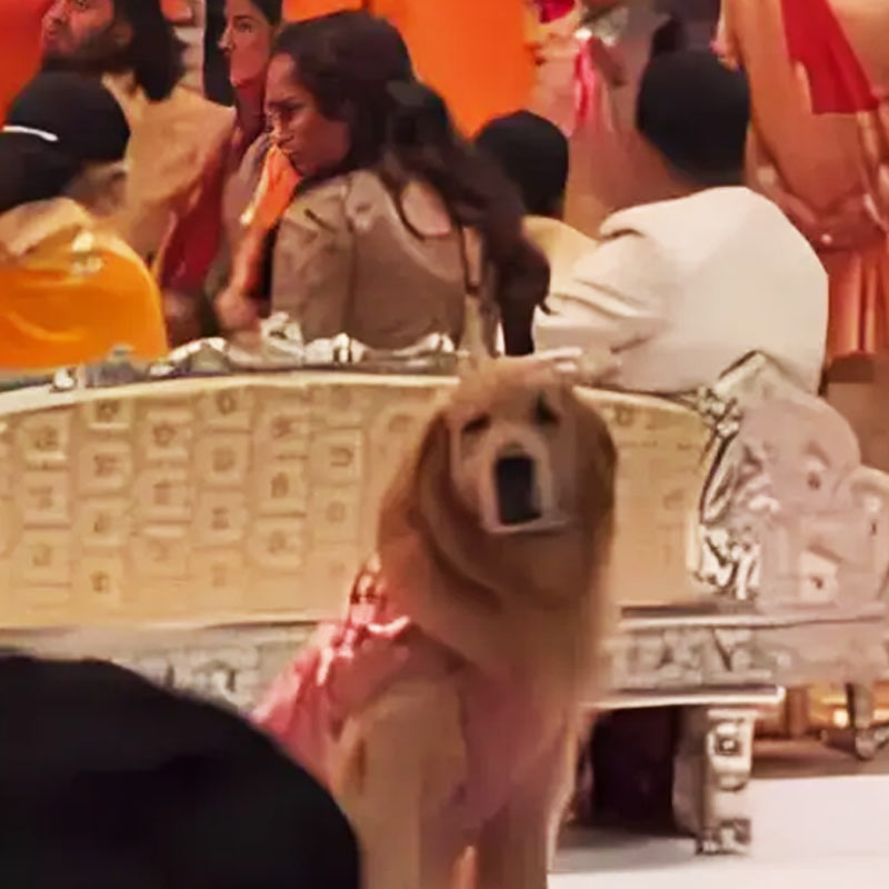 Meet Anant Ambani’s dog Happy, travels in luxurious car worth 4 crore rupees 