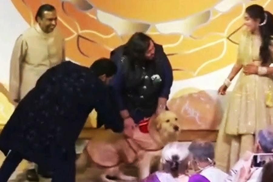 Meet Anant Ambani’s dog Happy, travels in luxurious car worth 4 crore rupees 