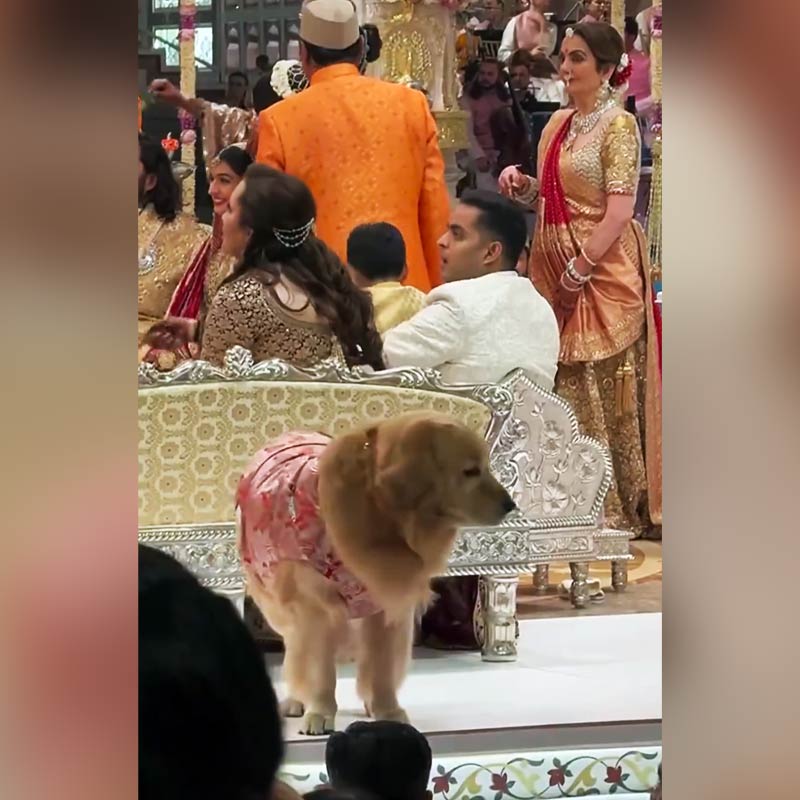 Meet Anant Ambani’s dog Happy, travels in luxurious car worth 4 crore rupees 