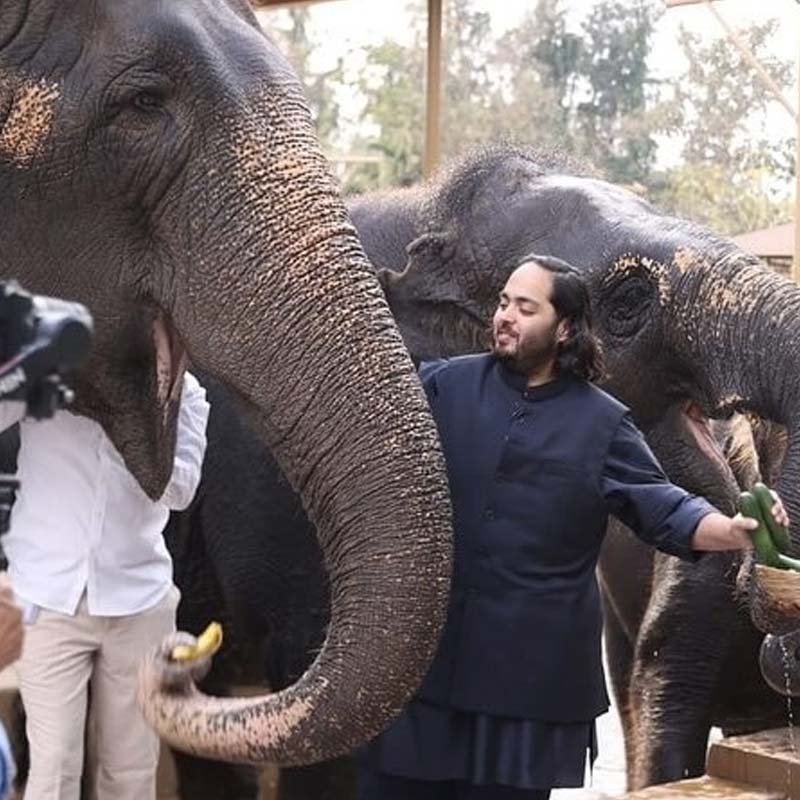 Meet Anant Ambani’s dog Happy, travels in luxurious car worth 4 crore rupees 