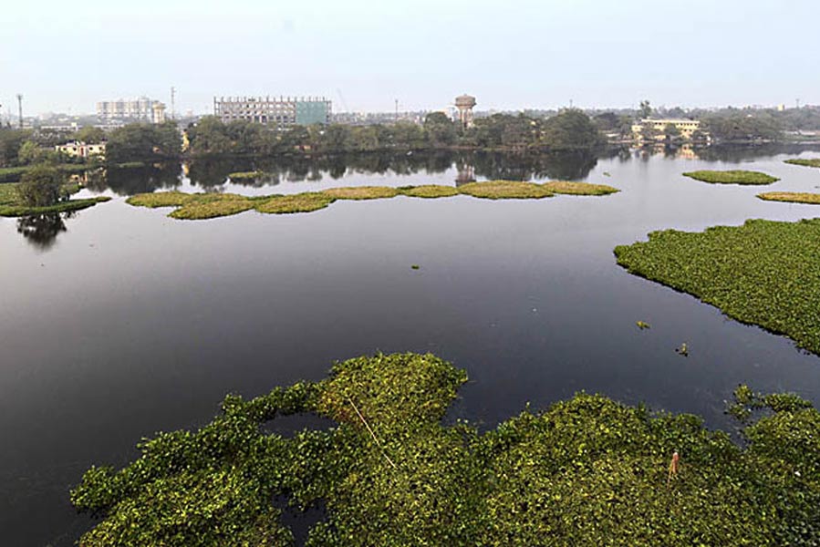 Santragachhi lake