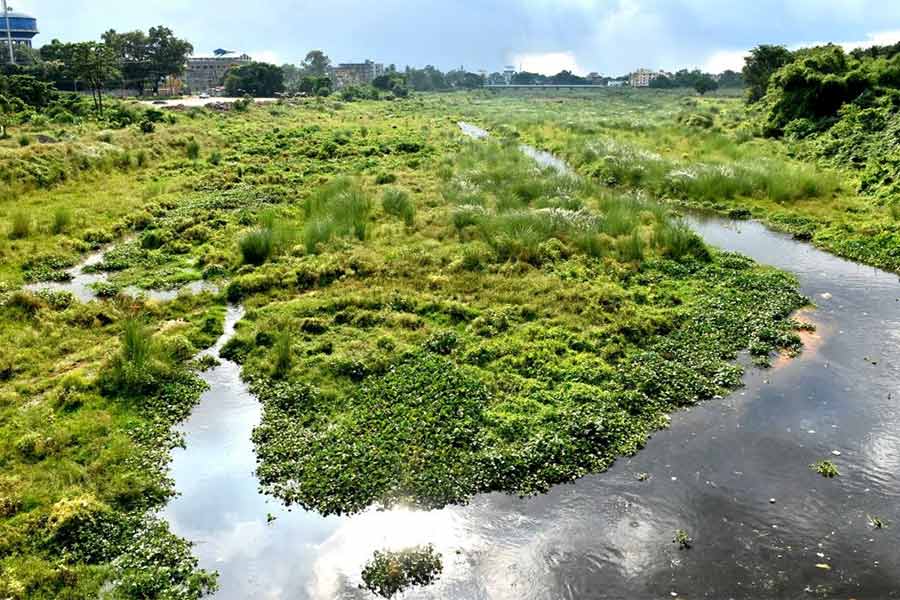 এখন গন্ধেশ্বরী।