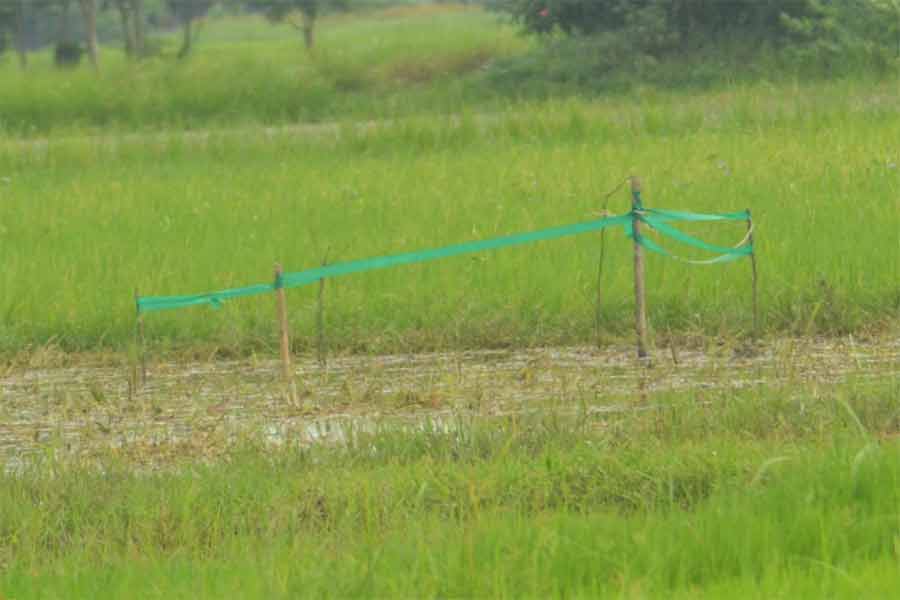 এখানেই কাদা চাপা দিয়ে রাখা হয়েছিল বালিকার দেহ।