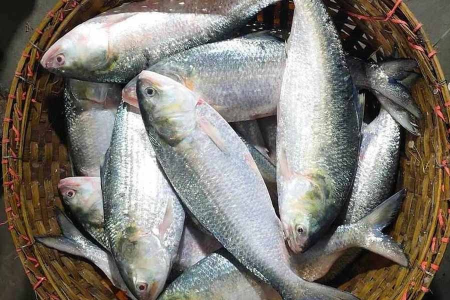 Protest in Bangladesh affected wholesale fish market