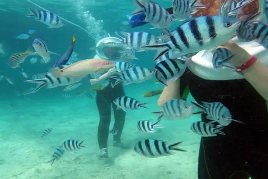 Travel guide to Andaman and Nicobar Islands