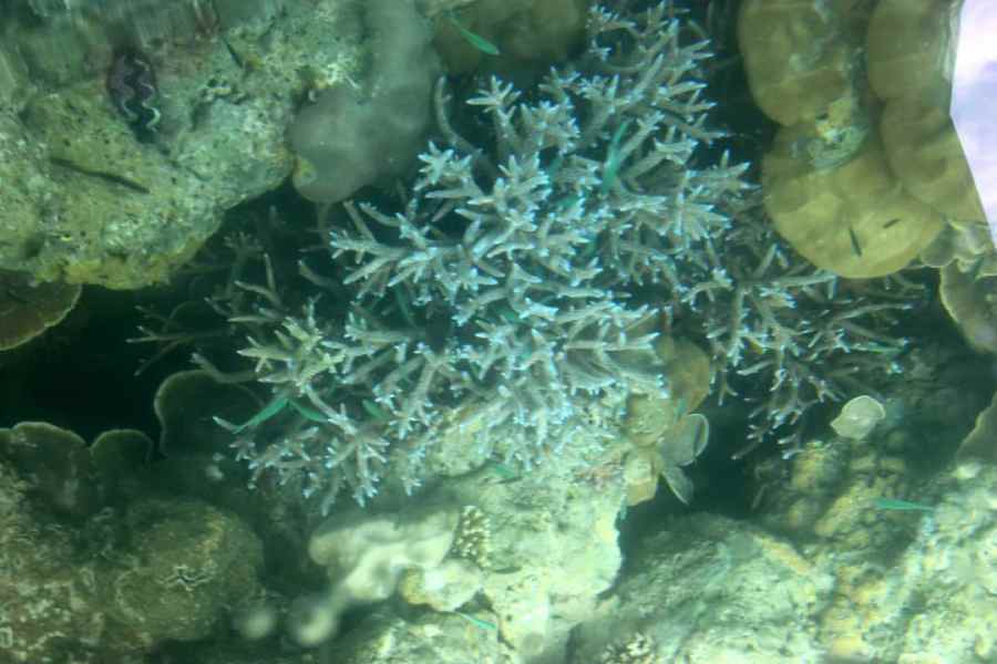 Travel guide to Andaman and Nicobar Islands