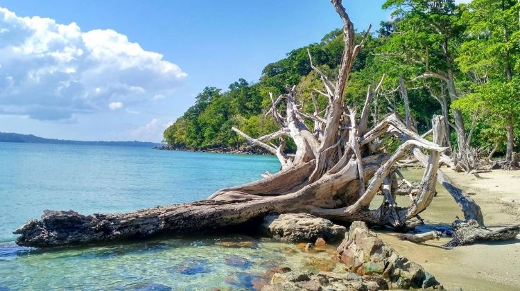 Travel guide to Andaman and Nicobar Islands